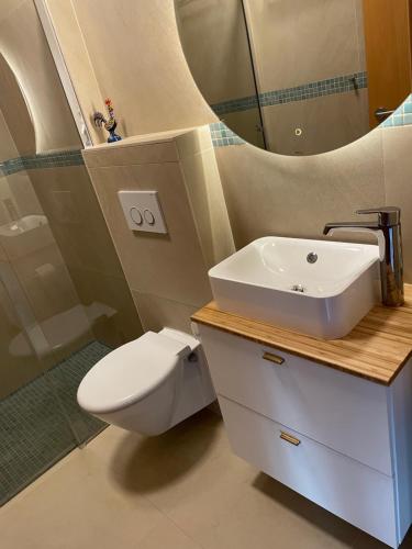 W łazience znajduje się umywalka, toaleta i lustro. w obiekcie B&B Casa Encantada w mieście Boliqueime