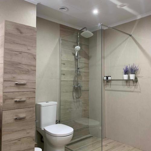 a bathroom with a toilet and a shower at Lilium Luxury Apartment in Igoumenitsa