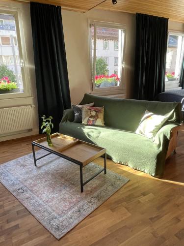 a living room with a green couch and a coffee table at WALDWERK am Wasserfall in Triberg