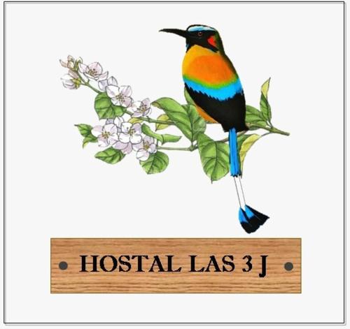 a colorful bird sitting on a wooden sign at Hostal las 3 J in Suchitoto