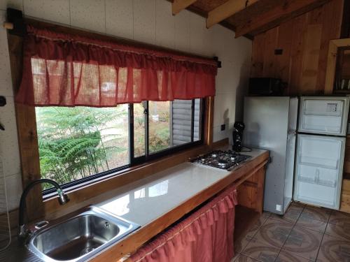 cocina con fregadero y nevera en Relun Lodge en Villarrica