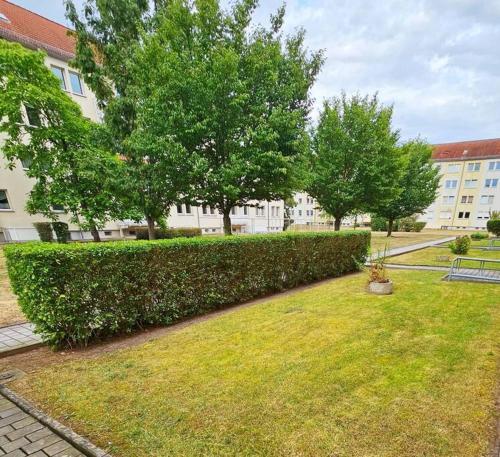a hedge in a yard with trees and a building at Ferienwohnung in Weißenfels