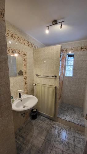 a bathroom with a sink and a shower at Ferienwohnung Mein Zuhause in Pottenstein