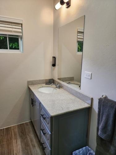La salle de bains est pourvue d'un lavabo et d'un miroir. dans l'établissement Paradise nestled between Montego Bay and Negril, à Hopewell
