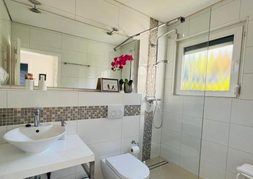 W łazience znajduje się umywalka, toaleta i lustro. w obiekcie Lodge 2 Bad Harzburg w mieście Bad Harzburg
