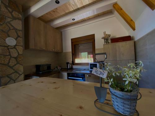 a kitchen with a wooden table with a potted plant at Srce Zminice in Žabljak