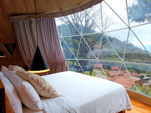 a bed in a room with a large window at TREE TREK BOQUETE Adventure Park in Boquete