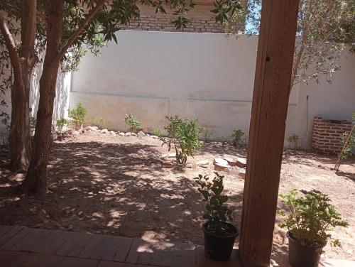 Fotografie z fotogalerie ubytování Dream house dahab v destinaci Dahab