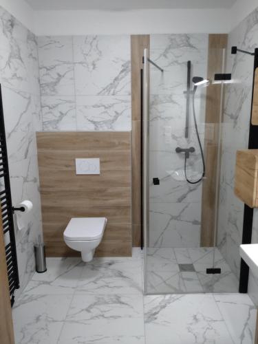 a bathroom with a toilet and a glass shower at Apartmán Karlovice - Jeseníky in Karlovice