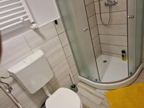 un piccolo bagno con doccia e servizi igienici di Luxury Apartment Mall Area a Bacău