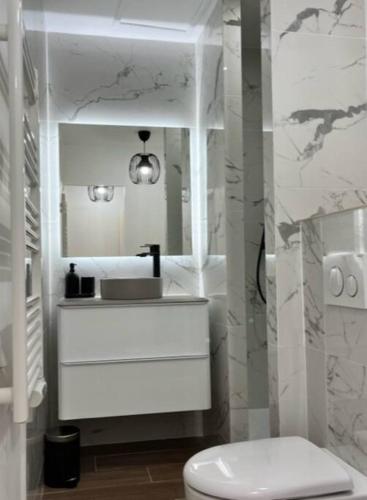 une salle de bain blanche avec un lavabo et des toilettes dans l'établissement Appartement neuf 4pers, remparts, à Guérande