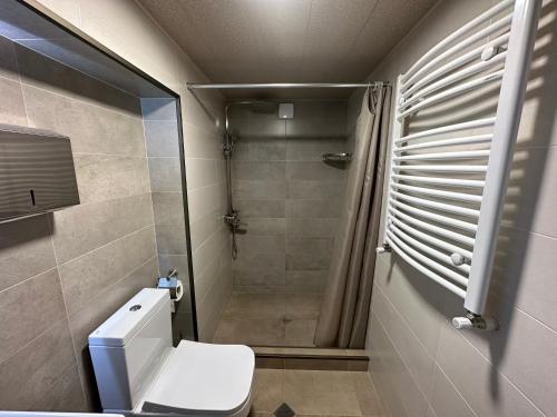 a bathroom with a shower and a toilet and a shower at Nukri Guest House in Gori