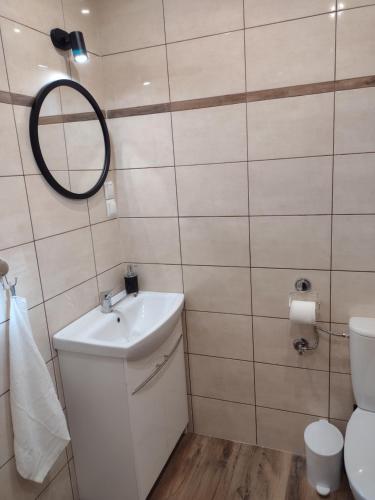 ein Badezimmer mit einem Waschbecken, einem WC und einem Spiegel in der Unterkunft Garsoniera -w podwórzu in Jasło