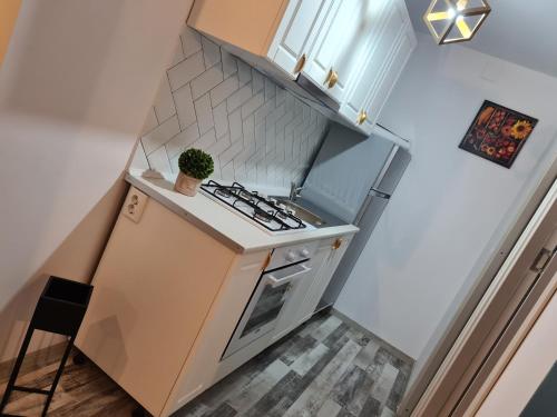 mała kuchnia z kuchenką i rośliną na blacie w obiekcie Mall First Cool Place w mieście Bacău