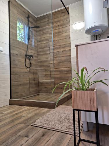 Kuća za odmor Sweet Home في فوكوفار: حمام مع دش مع نبات الفخار