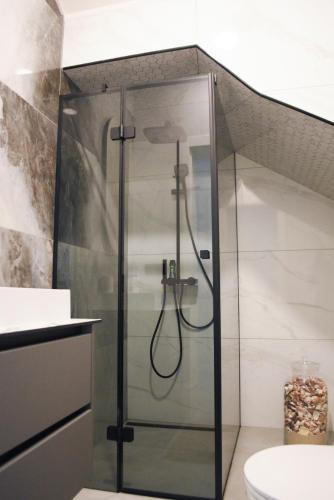 a shower with a glass door in a bathroom at Big Mama Koala in Druskininkai