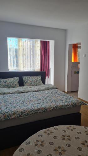 Schlafzimmer mit einem Bett und einem Fenster in der Unterkunft Studio Chic Symphony parcare privata in Arad