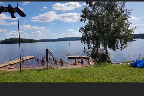 a group of people in the water at a dock at Egen stuga och vedeldad bastu in Linghed