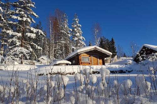 una cabaña de madera en la nieve con árboles en Egen stuga och vedeldad bastu, en Linghed