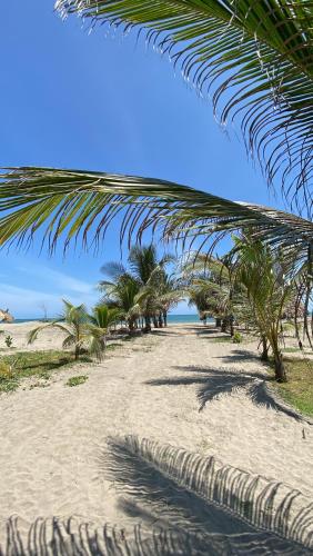a sandy beach with palm trees and the ocean at Villa Mediterránea in Tubará