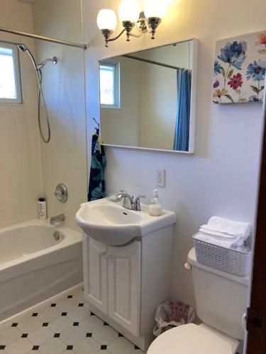 La salle de bains est pourvue d'un lavabo, de toilettes et d'un miroir. dans l'établissement Luckin Retreat with Large Backyard, à Trenton
