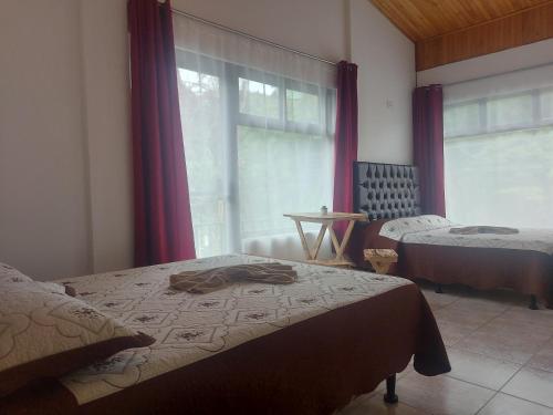 1 dormitorio con 2 camas y ventana en Alisson Hotel y Restaurant, en Monteverde