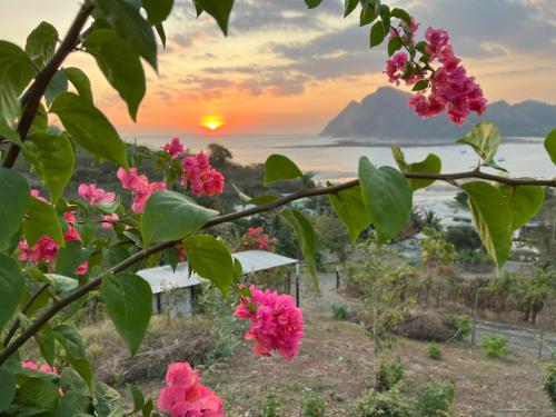 einen Zweig rosafarbener Blumen mit Sonnenuntergang im Hintergrund in der Unterkunft Maluk Vacation Villa in Maluk