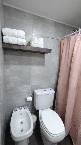a bathroom with a toilet and a sink and towels at Vid_y_Olivo. Cómodo departamento en el centro de Maipú in Maipú