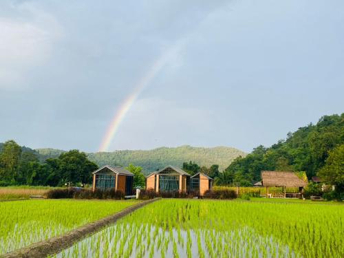 um arco-íris no céu sobre um campo com casas em The Maewin Coffee & Cottage Economy Double Room em Ban Huai Rin