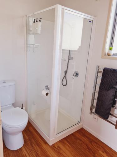 a bathroom with a shower and a toilet at Seaside Tahuna in Nelson