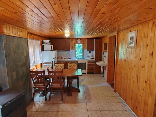 a kitchen and dining room with a table and chairs at Holiday House Vranov Dam in Oslnovice