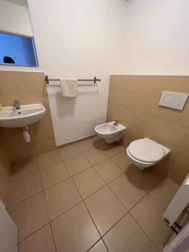 a bathroom with a toilet and a sink at Dvůr Nové Zámky in Mladeč