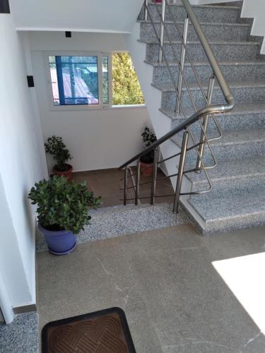 eine Treppe mit Geländer und einige Pflanzen in der Unterkunft Zogaj Guesthouse in Ksamil