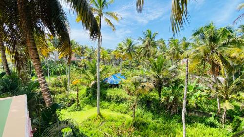 a view from the balcony of a resort with palm trees at Packbag Comfort Bed & Breakfast in Kovalam