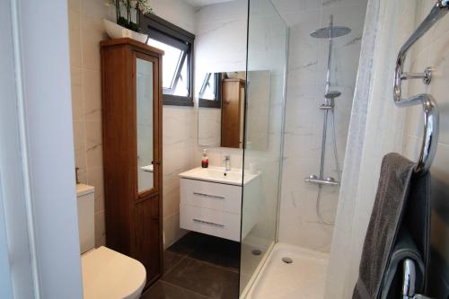 a bathroom with a shower and a toilet and a sink at The Summer Haven in Polis Chrysochous