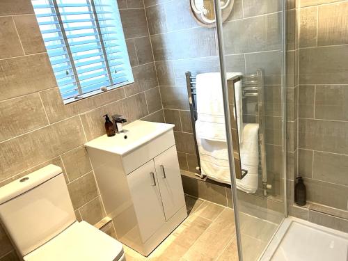 a bathroom with a toilet and a sink and a shower at Number 8 in Midhurst