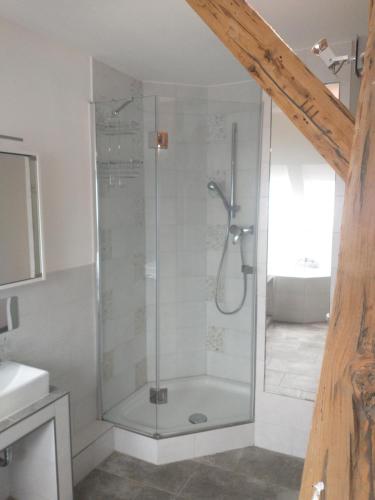 a shower with a glass door in a bathroom at Bad Aibling City Apartment - Pano in Bad Aibling