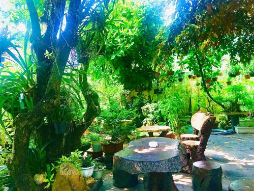 una mesa y sillas en un jardín con plantas en Pebble Homestay en Hoi An