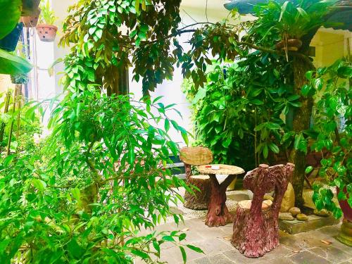 a garden with trees and a table and chairs at Pebble Homestay in Hoi An