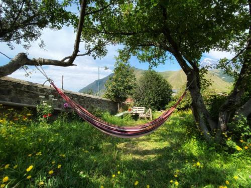 a hammock hanging from a tree in a field at Dato Khetaguri Apartment in Stepantsminda