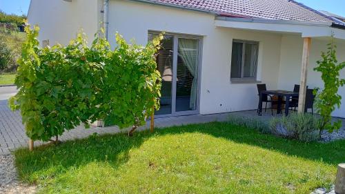 a house with a table and a tree in the yard at Na Domečku Valtice in Valtice