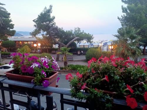 Κήπος έξω από το Hotel Serena