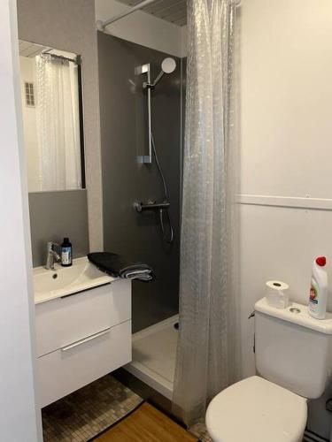 a bathroom with a shower and a toilet and a sink at Studio Horizon Bleu, vue mer in Calais