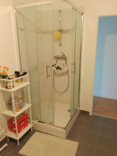 a shower with a glass enclosure in a bathroom at Chambre pour deux personnes dans un logement partagé Two persons room in a shared apartment in Alfortville