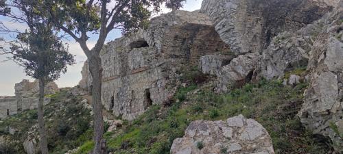a stone wall on a mountain with a tree at Casa vacanze il Pastore Tedesco in Portoferraio