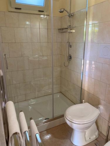 a bathroom with a shower and a toilet and a tub at VILLA ADELAIDE SUITE & ROOM in Torre a Mare