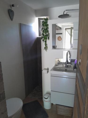 een badkamer met een wastafel, een toilet en een spiegel bij Le Mazet de l'Acacia in Beaumes-de-Venise
