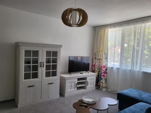 uma sala de estar com um sofá azul e uma televisão em Concordia - apartament nou amenajat - lângã Cazino em Băile Herculane