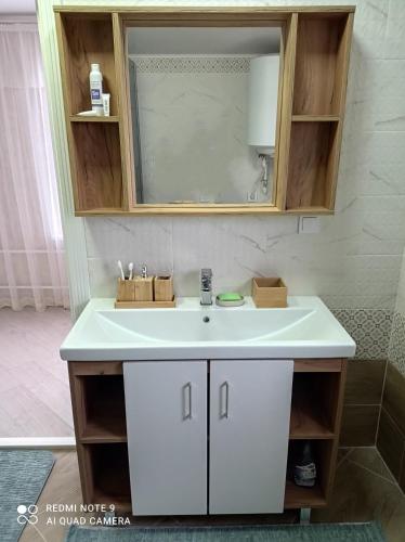 a bathroom with a white sink and a mirror at Save Haven Karakol in Karakol