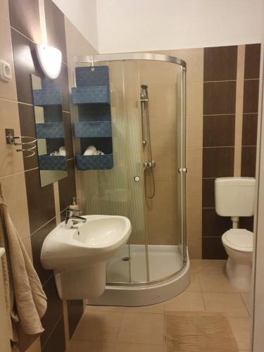 a bathroom with a shower and a sink and a toilet at Doris Apartments in Siófok